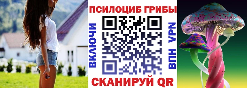 Псилоцибиновые грибы ЛСД  Приморско-Ахтарск 