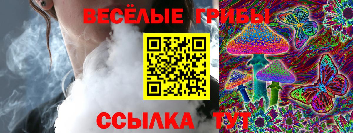 Псилоцибиновые грибы ЛСД  Вход с VPN  Приморско-Ахтарск 